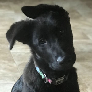 Meet your Posher, Rebekah